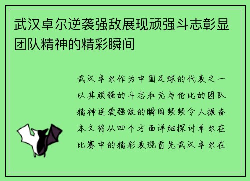 武汉卓尔逆袭强敌展现顽强斗志彰显团队精神的精彩瞬间