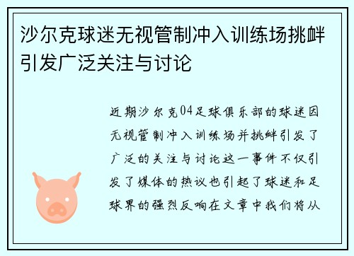 沙尔克球迷无视管制冲入训练场挑衅引发广泛关注与讨论