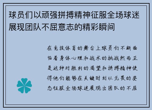 球员们以顽强拼搏精神征服全场球迷展现团队不屈意志的精彩瞬间