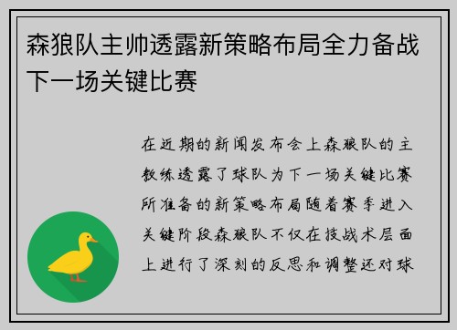 森狼队主帅透露新策略布局全力备战下一场关键比赛