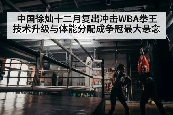 中国徐灿十二月复出冲击WBA拳王 技术升级与体能分配成争冠最大悬念